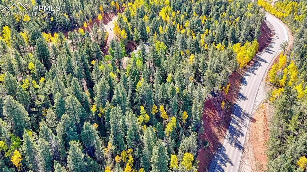 959 Calcite Drive Divide, CO 80814