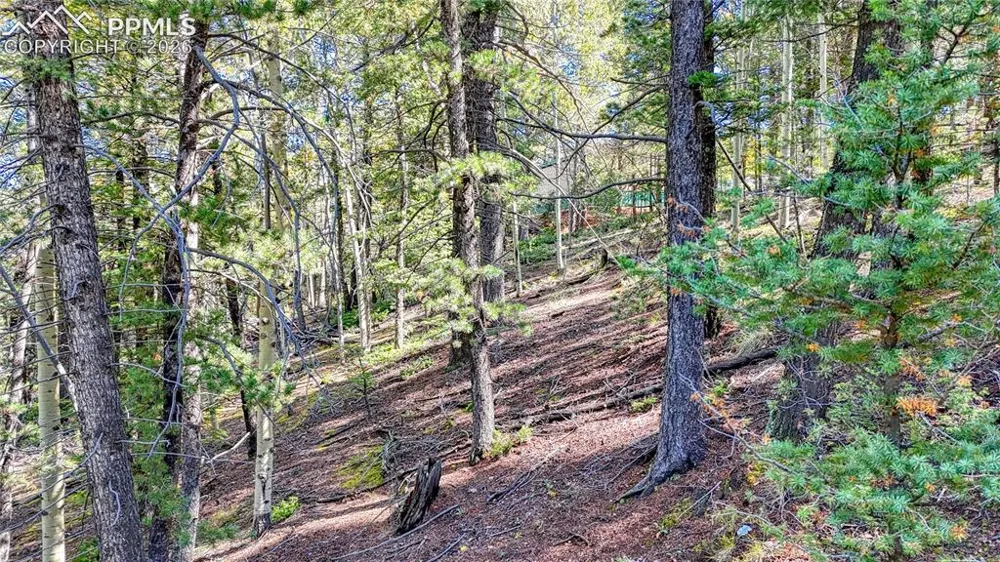959 Calcite Drive Divide, CO 80814