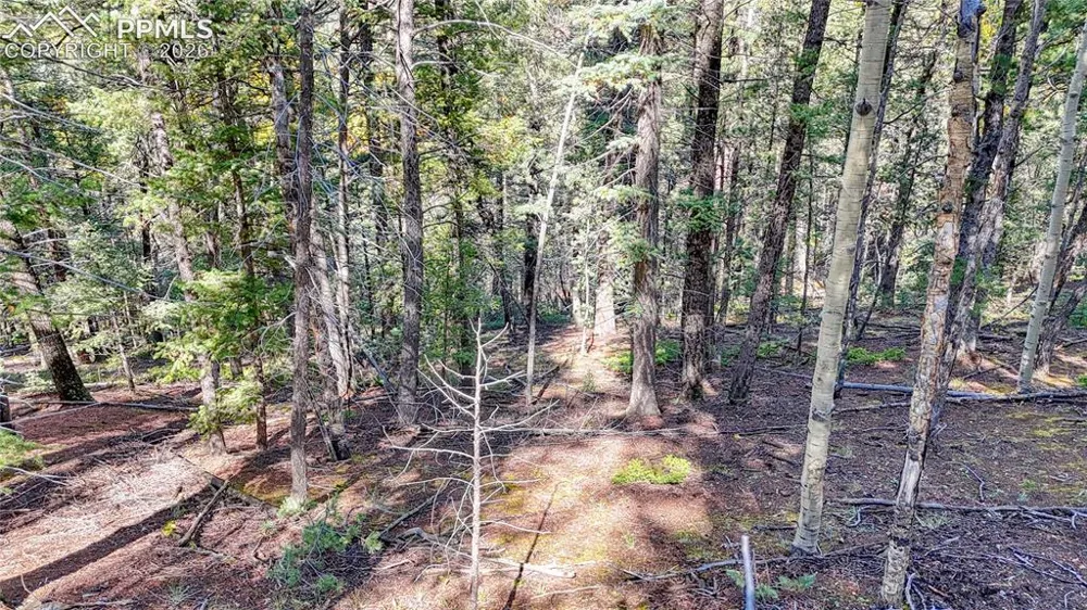 959 Calcite Drive Divide, CO 80814