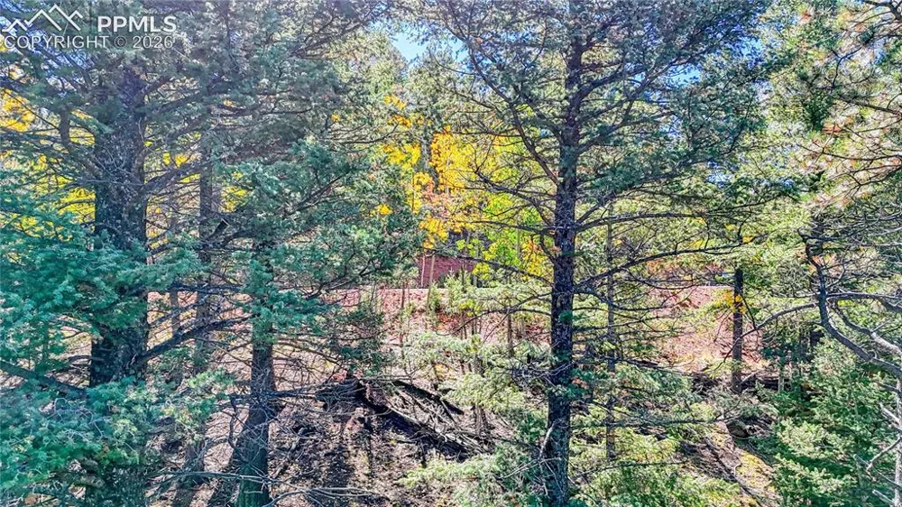 959 Calcite Drive Divide, CO 80814
