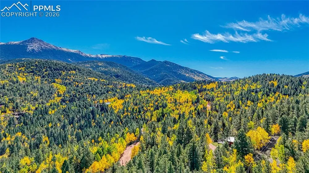 959 Calcite Drive Divide, CO 80814