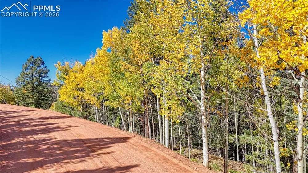 959 Calcite Drive Divide, CO 80814