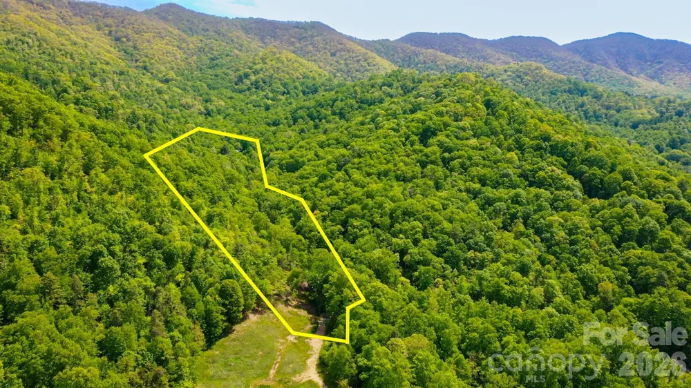 000 Cook Cove Road #2 Weaverville, NC 28787