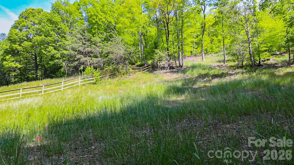 000 Cook Cove Road #2 Weaverville, NC 28787