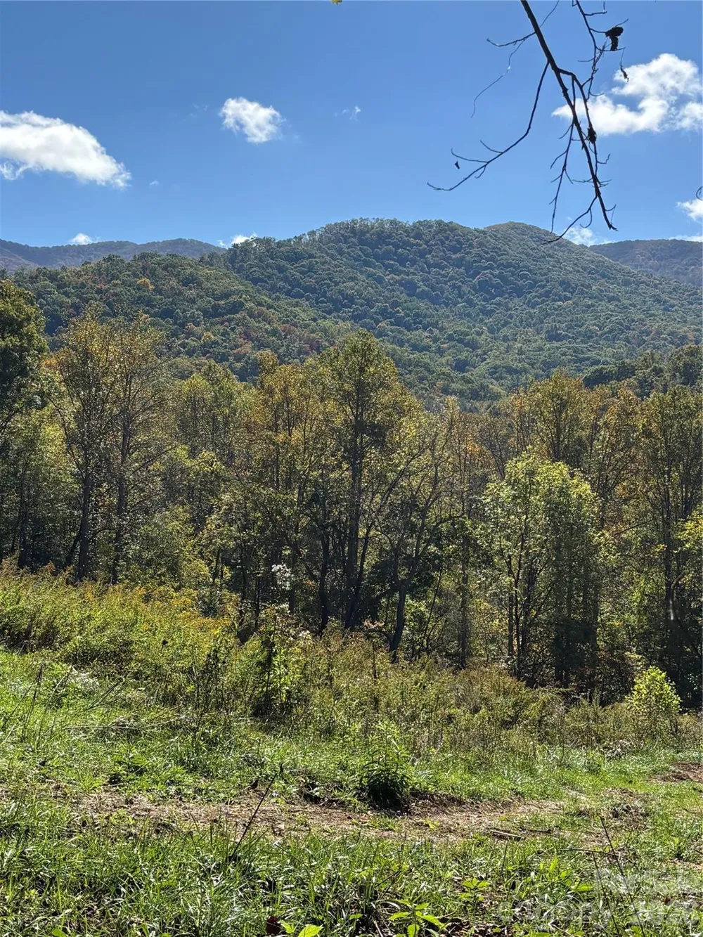 000 Cook Cove Road #2 Weaverville, NC 28787