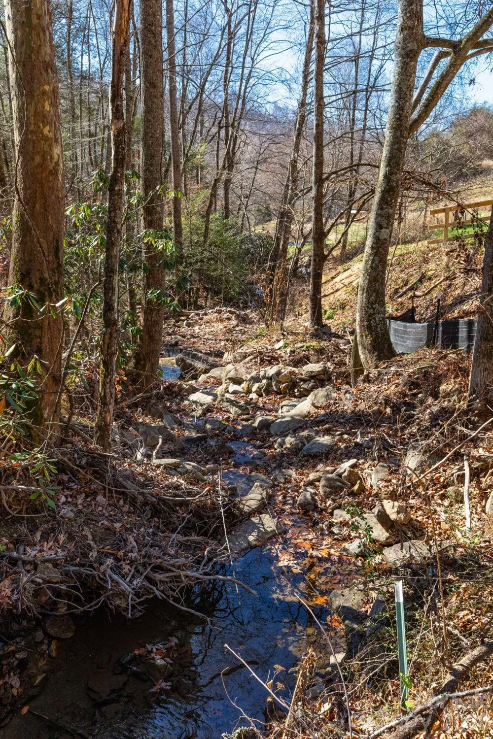 000 Cook Cove Road #2 Weaverville, NC 28787
