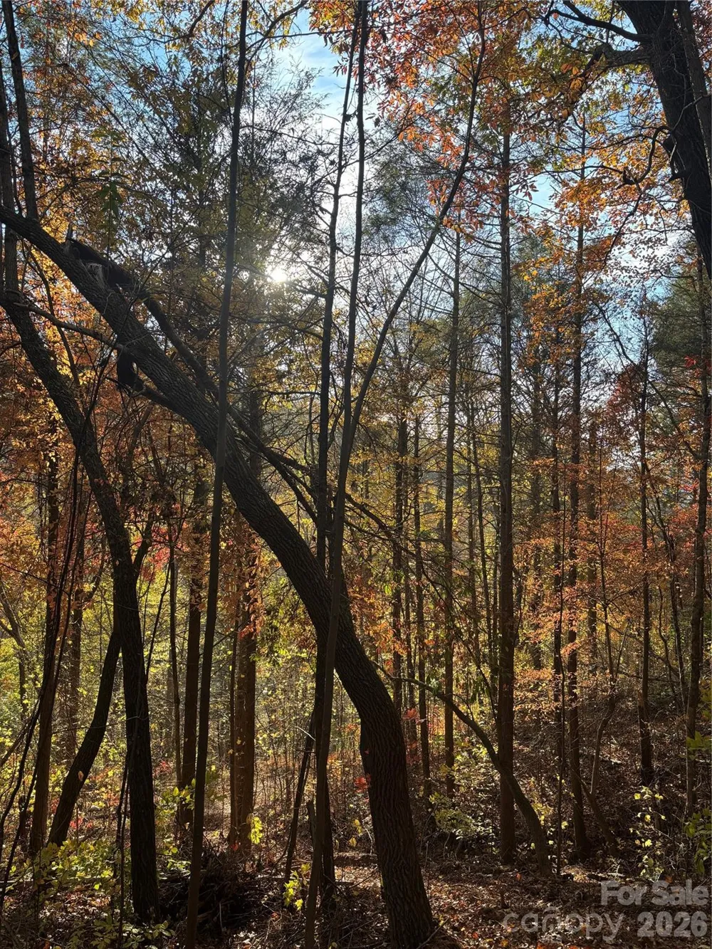000 Cook Cove Road #2 Weaverville, NC 28787