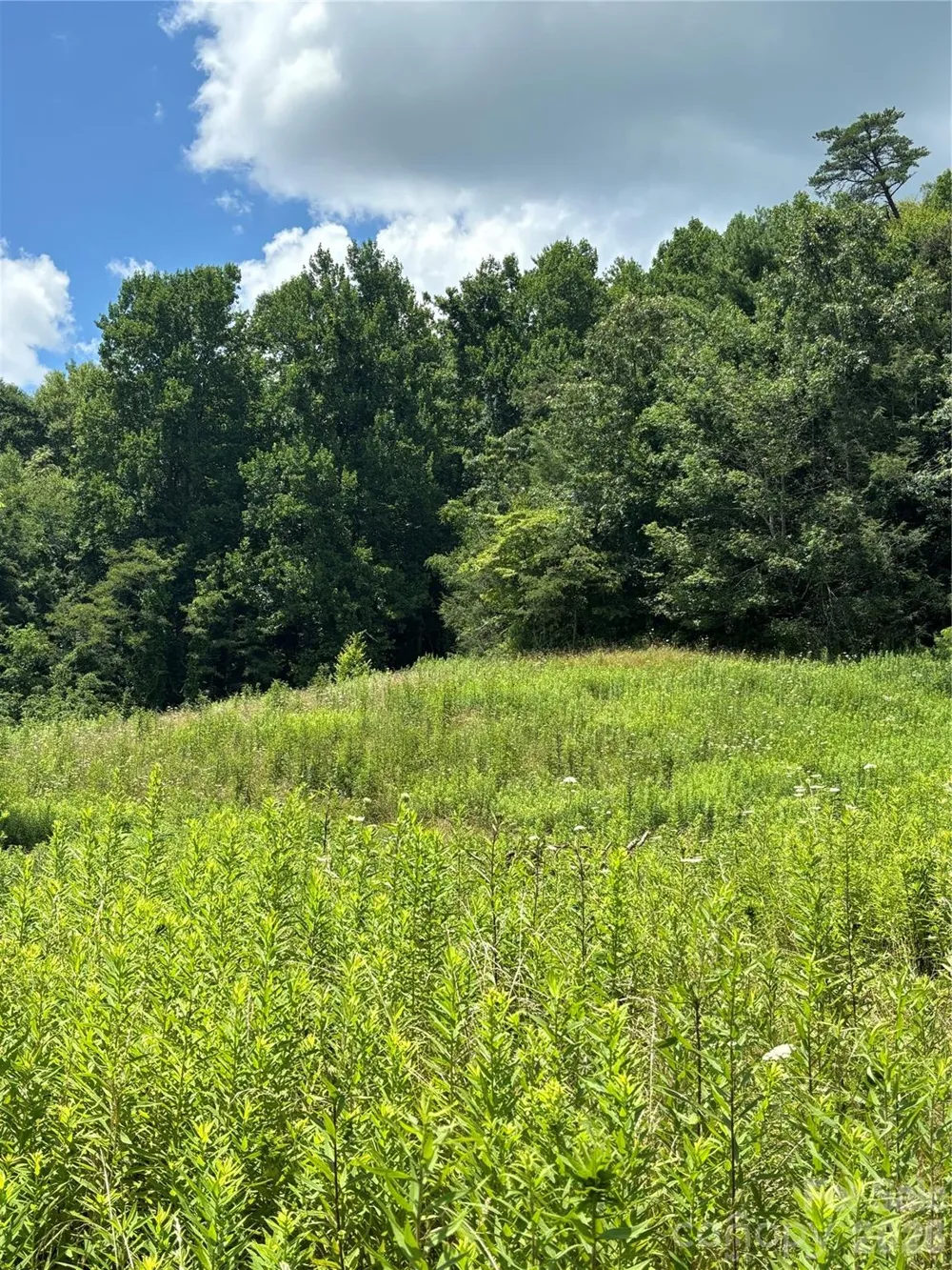 000 Cook Cove Road #2 Weaverville, NC 28787