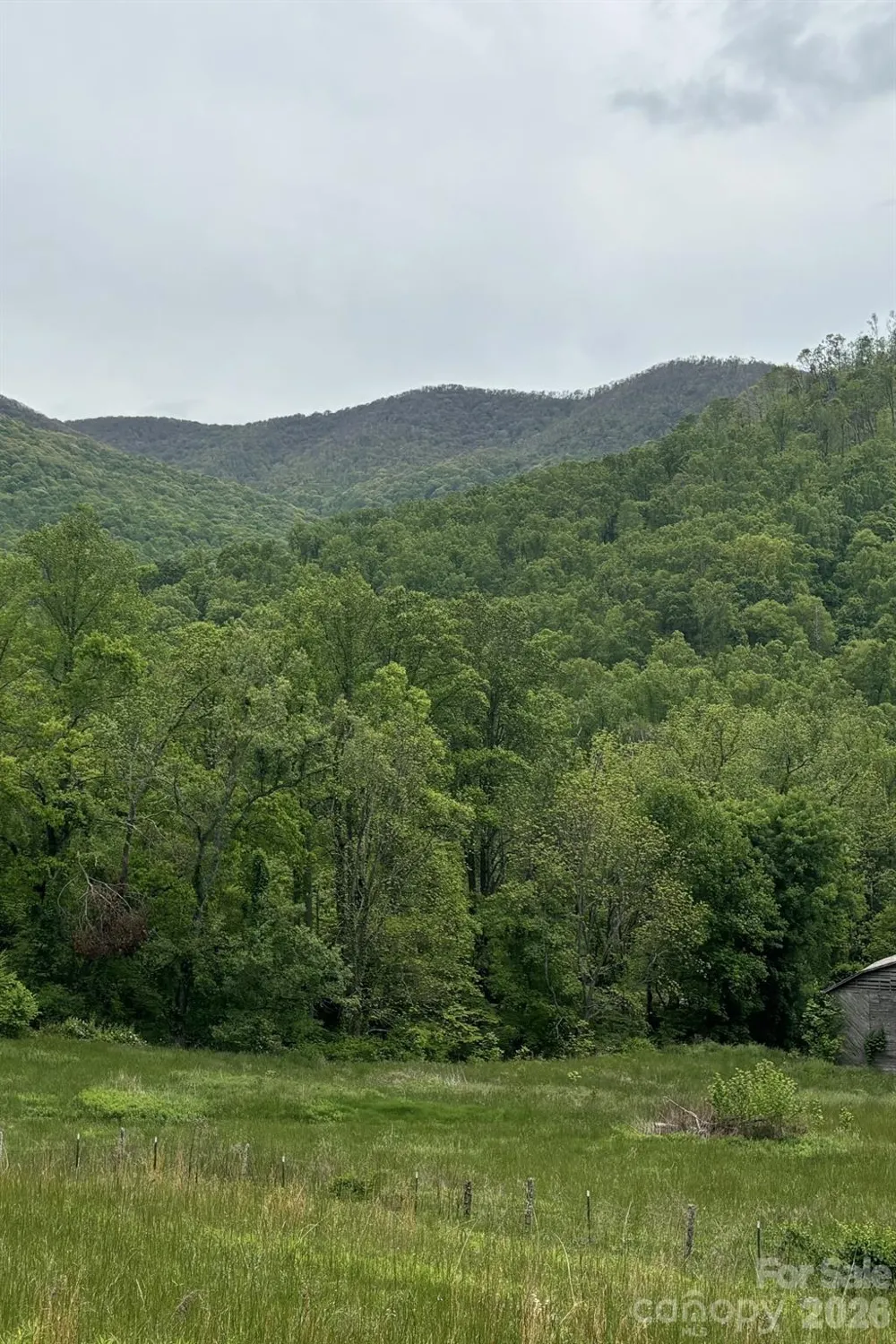 000 Cook Cove Road #2 Weaverville, NC 28787