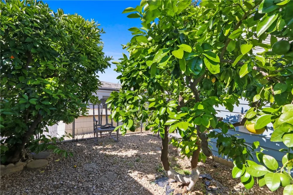 3800 Bradford Street #307 La Verne, CA 91750