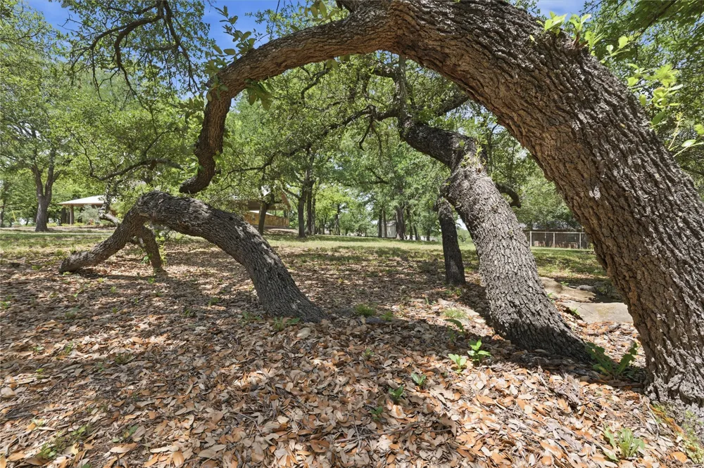 1528 Tidwell Road Brock, TX 76087
