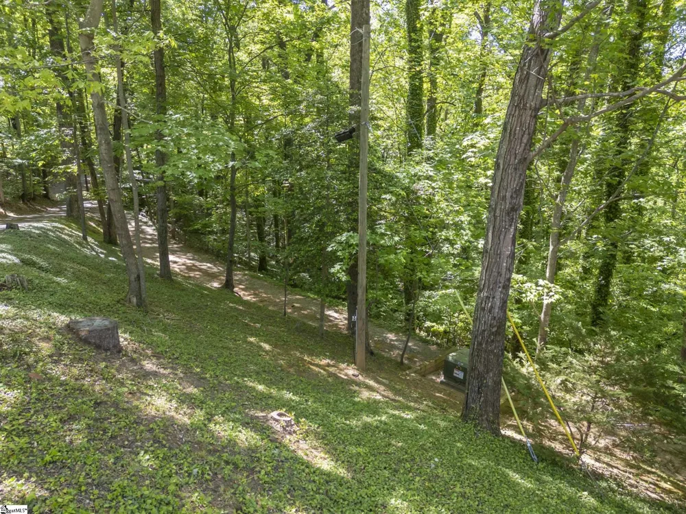 484 Sourwood Ridge Road Tryon, NC 28782