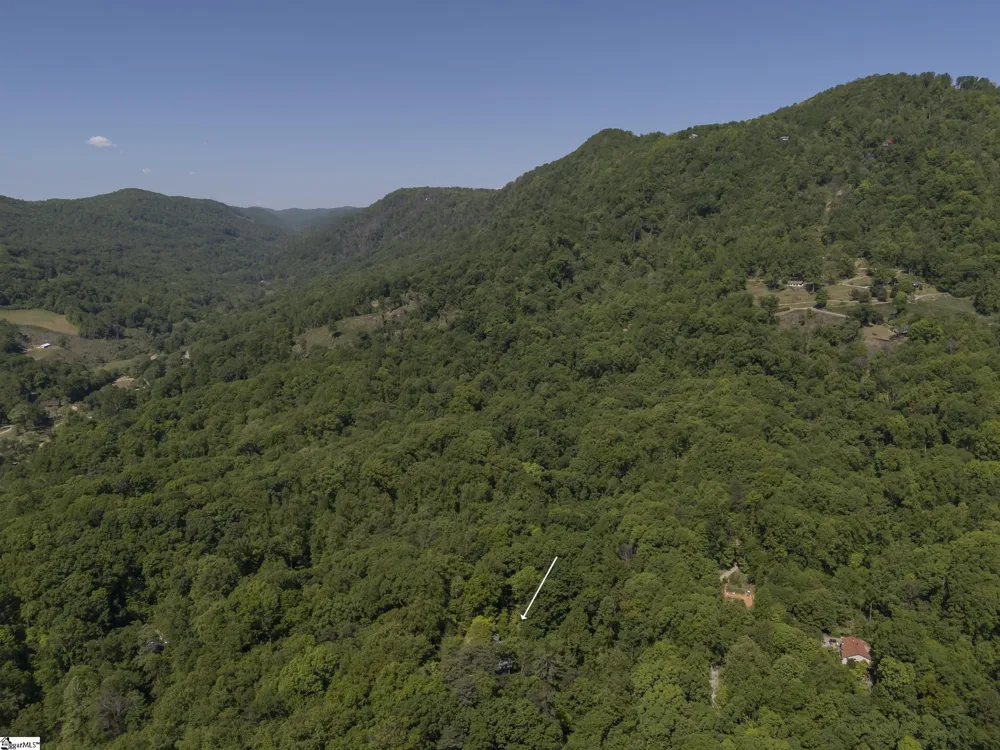 484 Sourwood Ridge Road Tryon, NC 28782