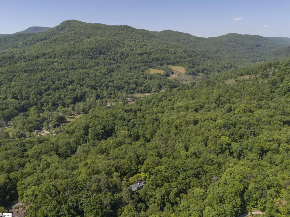 484 Sourwood Ridge Road Tryon, NC 28782