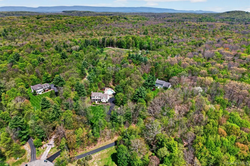 42 Philip Drive Montgomery, NY 12549