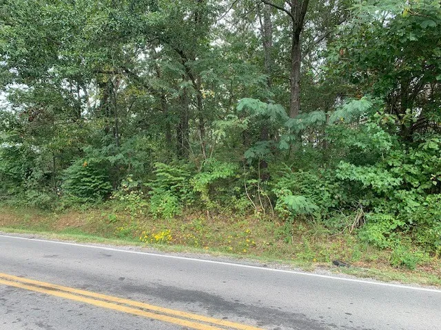 0 Dotsonville Road Clarksville, TN 37042