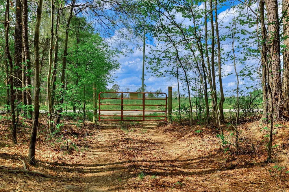 2146 Thomson Highway Warrenton, GA 30828