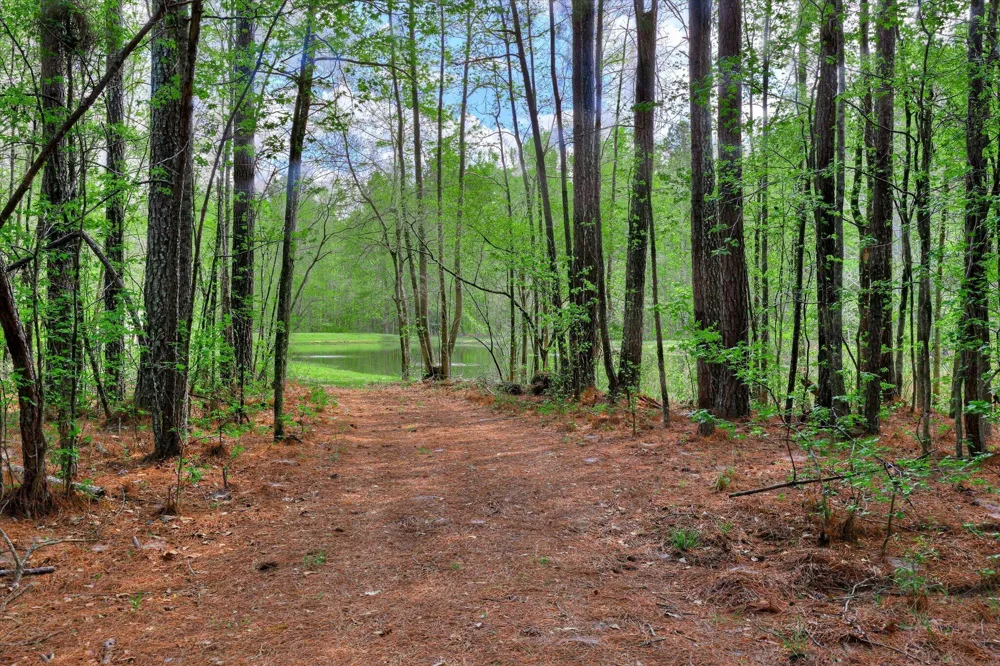2146 Thomson Highway Warrenton, GA 30828