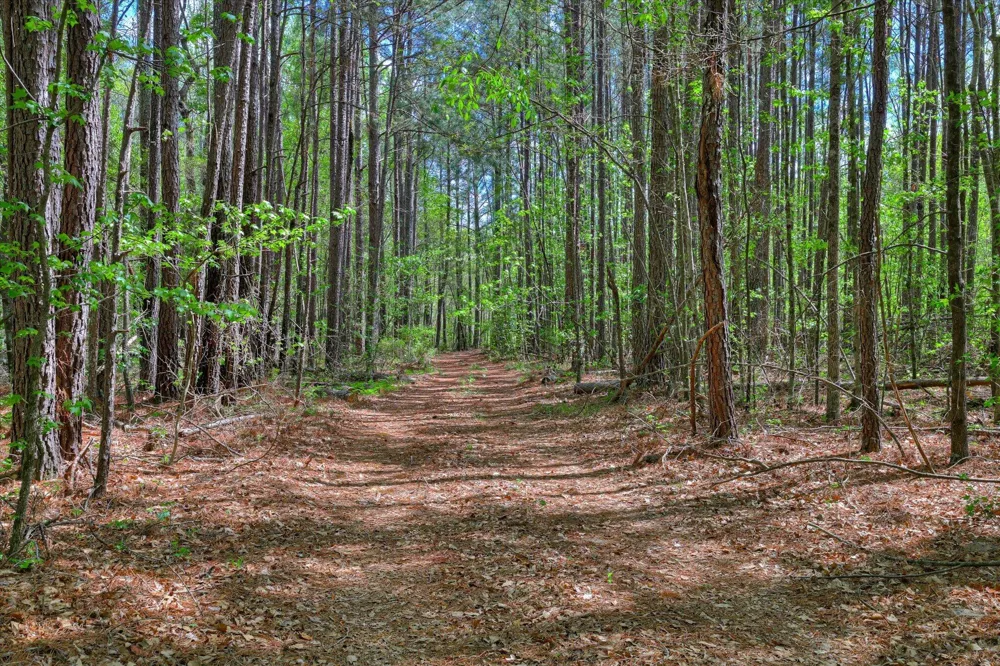 2146 Thomson Highway Warrenton, GA 30828