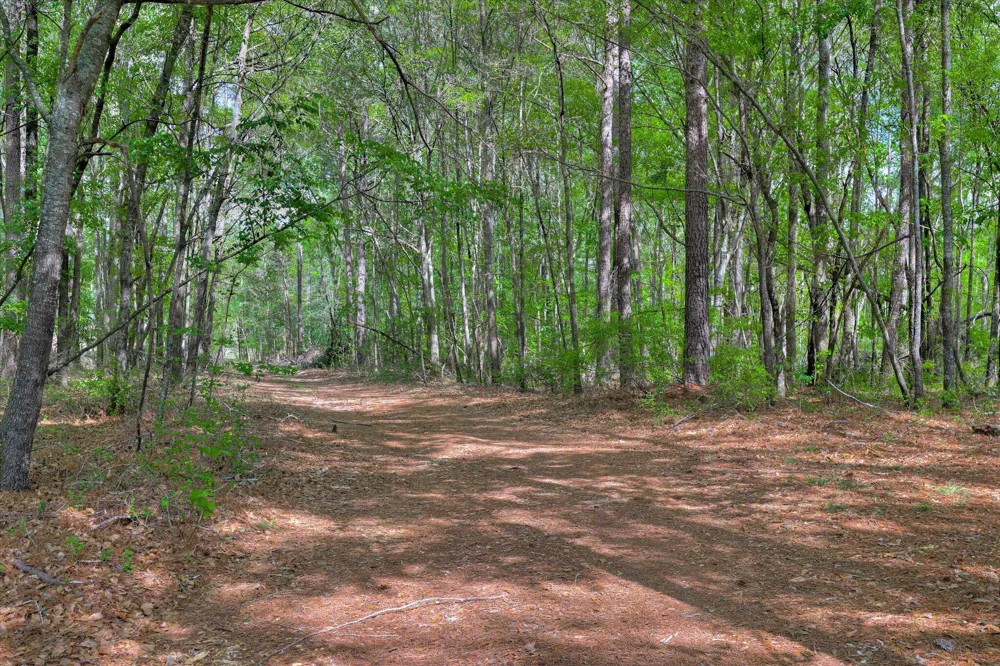 2146 Thomson Highway Warrenton, GA 30828