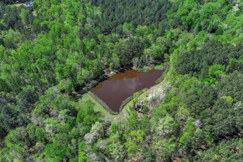 2146 Thomson Highway Warrenton, GA 30828