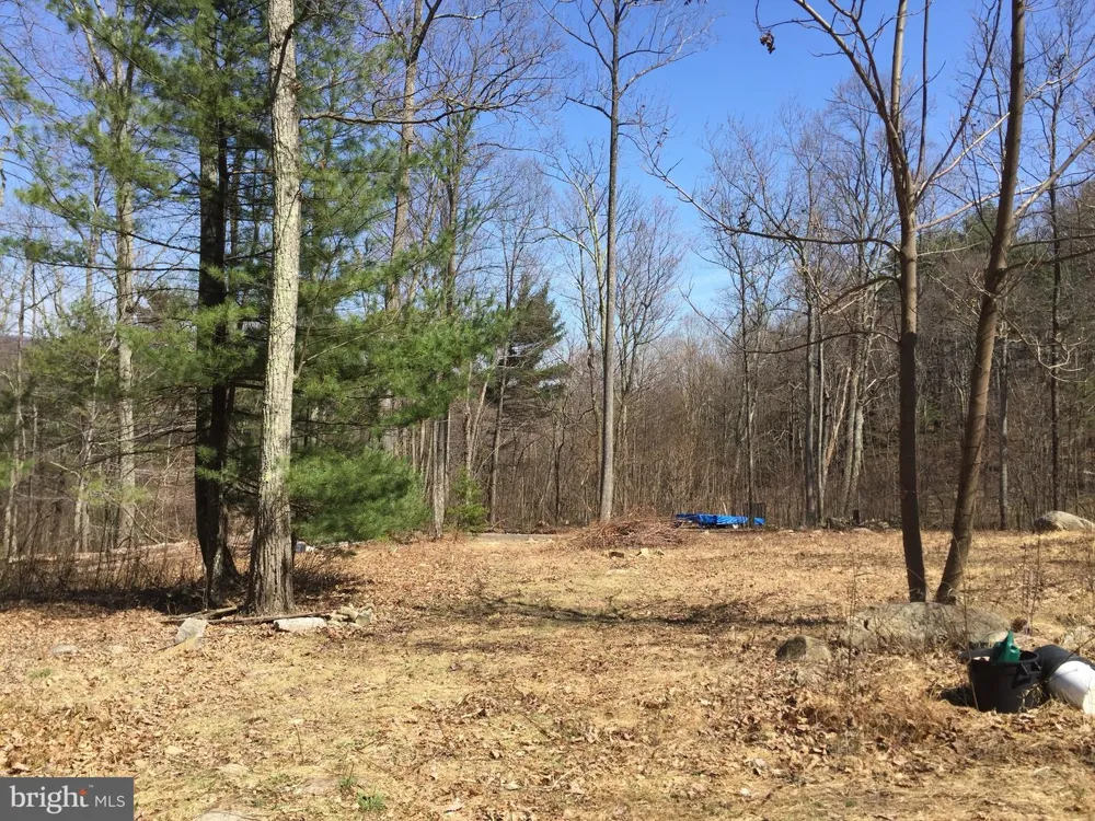 0 PADUA LANE Sperryville, VA 22740