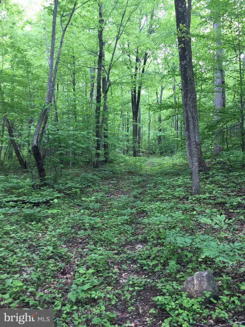0 PADUA LANE Sperryville, VA 22740