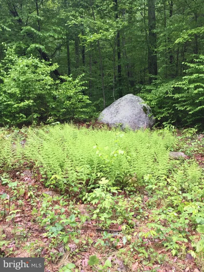 0 PADUA LANE Sperryville, VA 22740