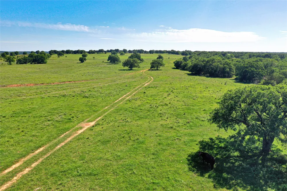 136 FM 2127 Bowie, TX 76230