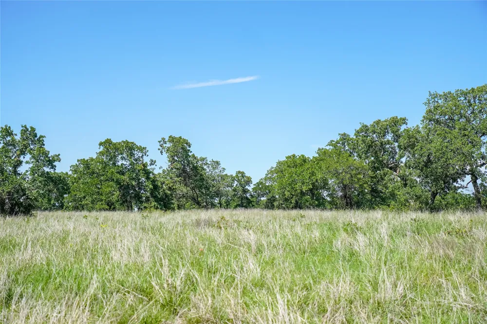 136 FM 2127 Bowie, TX 76230