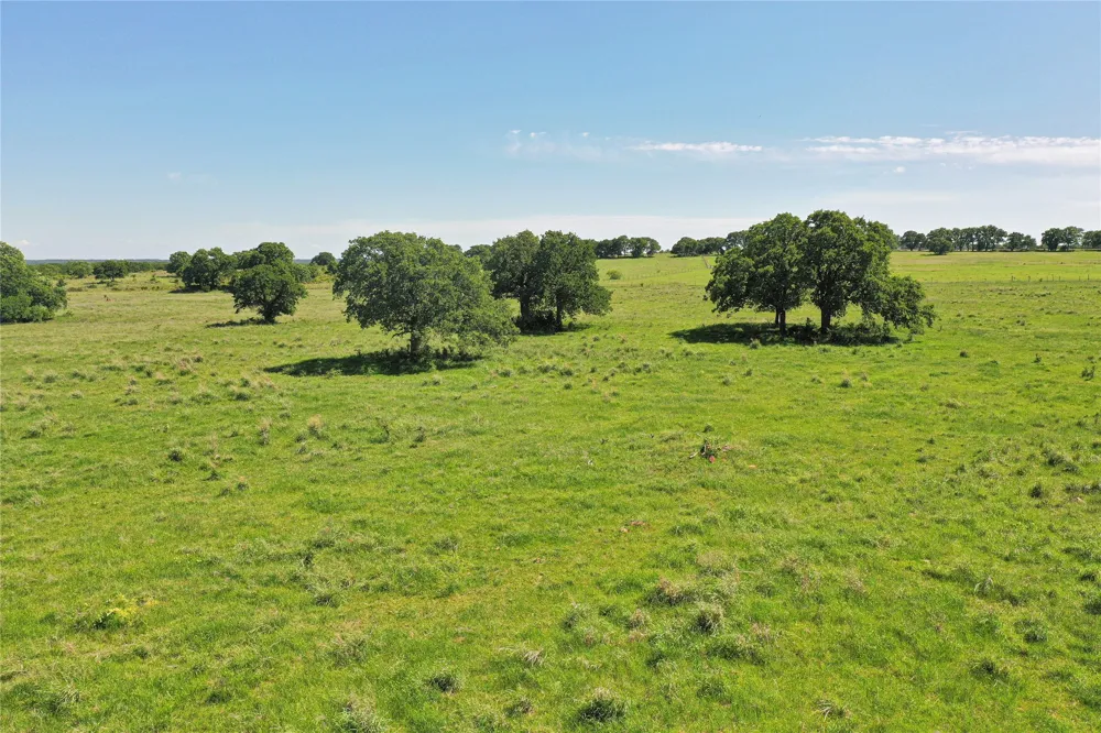 136 FM 2127 Bowie, TX 76230