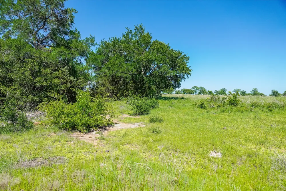 136 FM 2127 Bowie, TX 76230