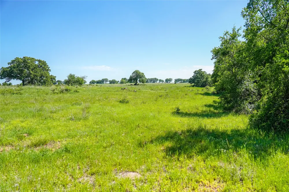 136 FM 2127 Bowie, TX 76230