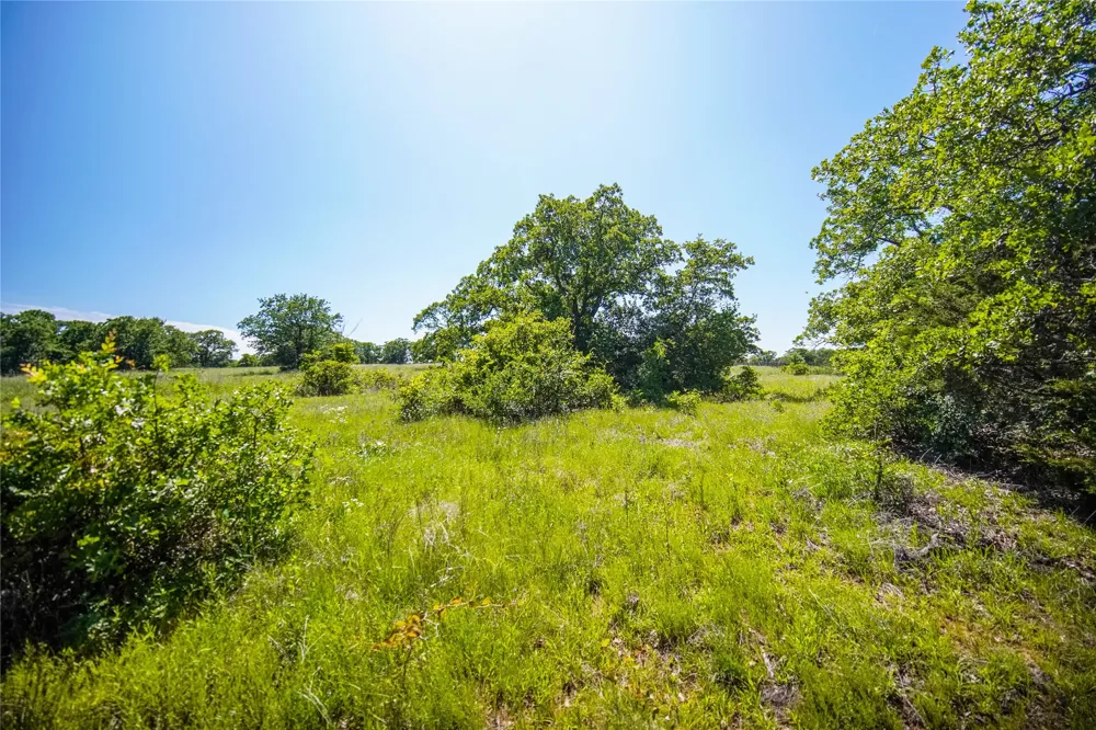 136 FM 2127 Bowie, TX 76230