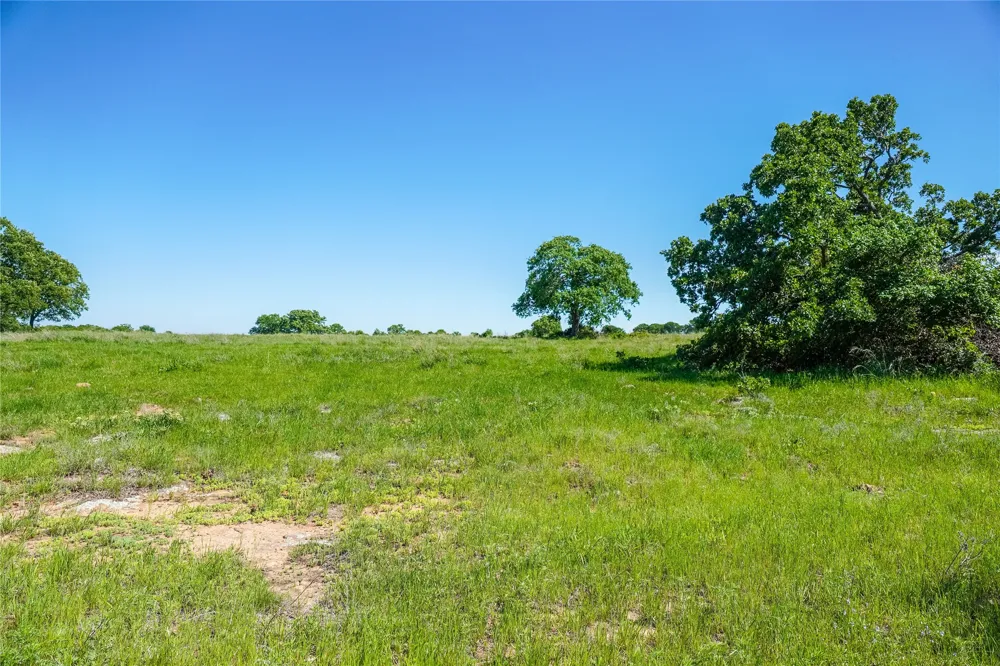 136 FM 2127 Bowie, TX 76230
