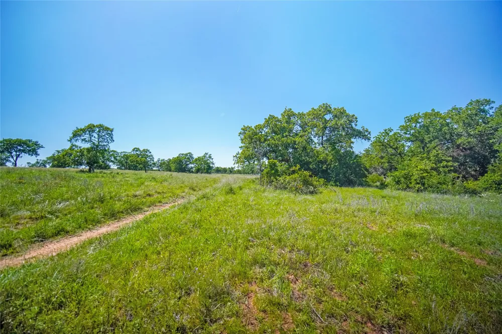 136 FM 2127 Bowie, TX 76230