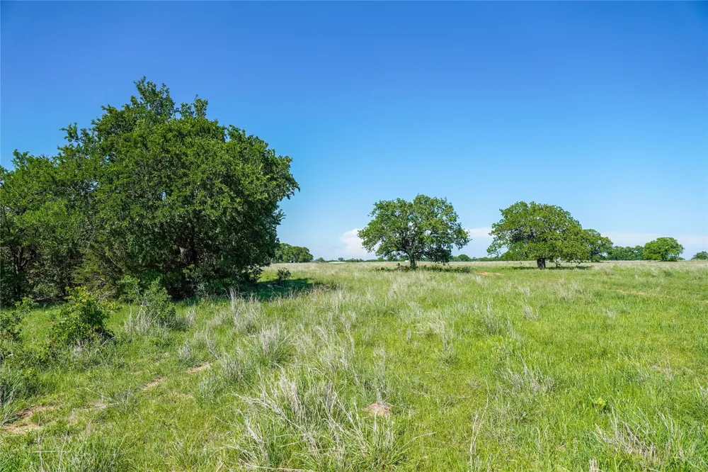 136 FM 2127 Bowie, TX 76230