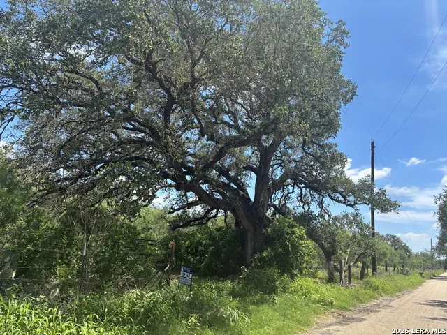 920 County Road 665 Devine, TX 78016