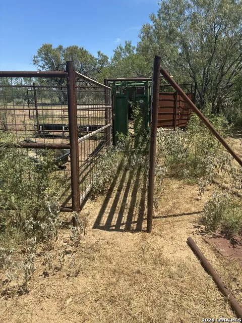 920 County Road 665 Devine, TX 78016