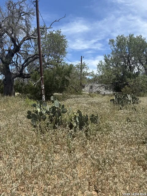 920 County Road 665 Devine, TX 78016