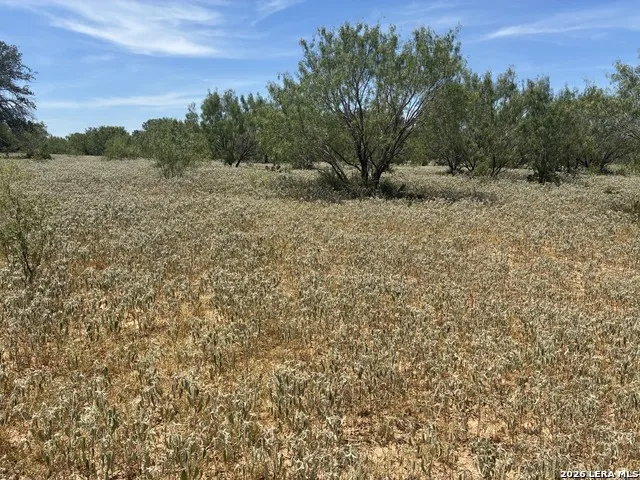 920 County Road 665 Devine, TX 78016