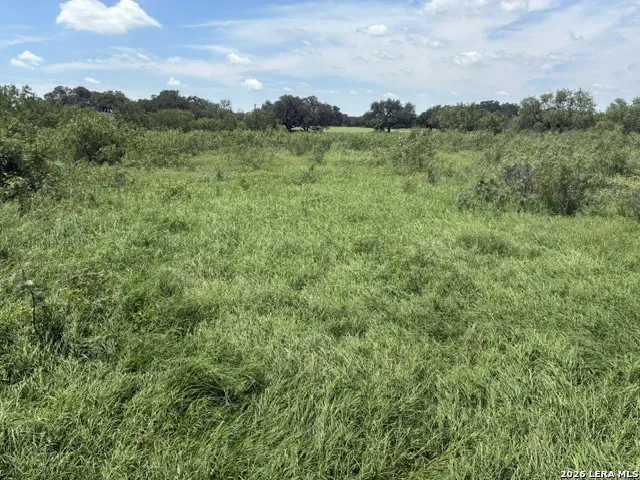 920 County Road 665 Devine, TX 78016