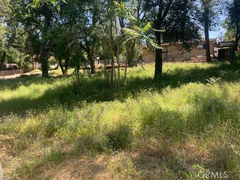 14245 Woodland