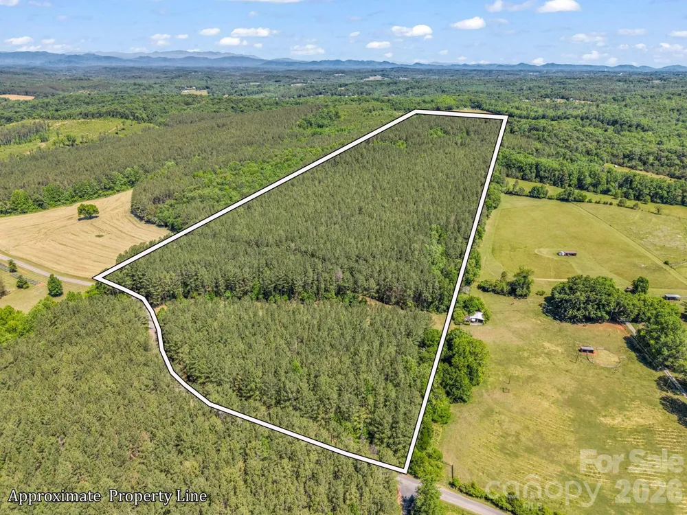0 Jim Dobbins Road Rutherfordton, NC 28139