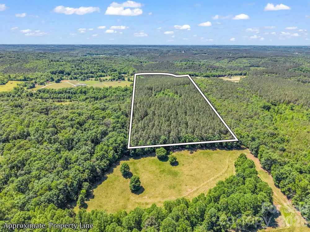 0 Jim Dobbins Road Rutherfordton, NC 28139