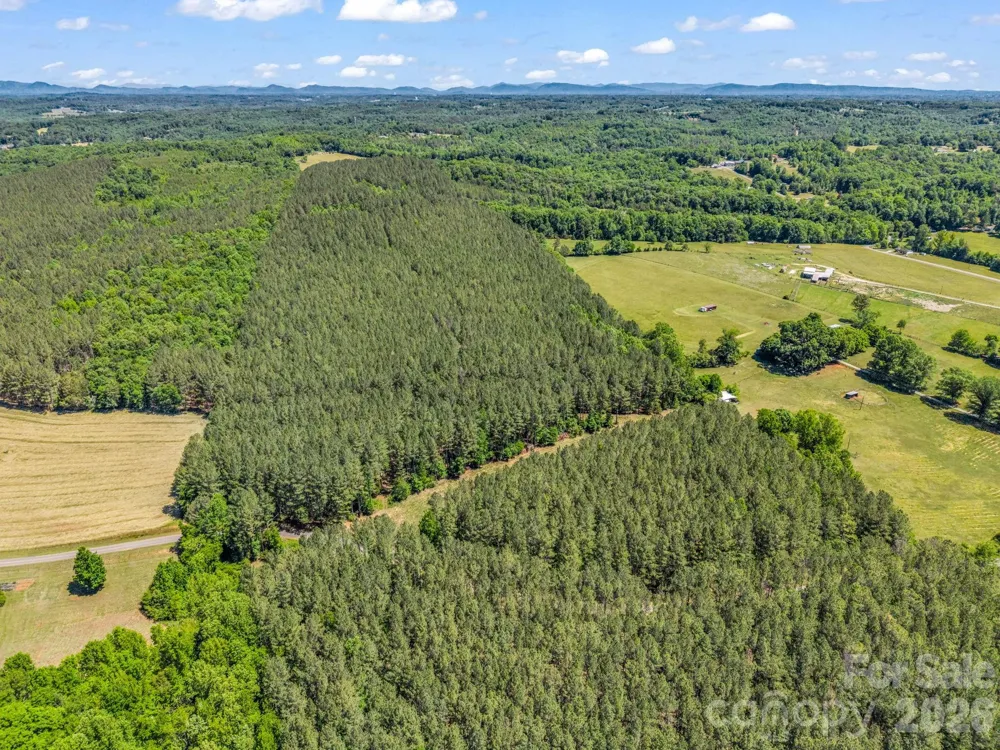 0 Jim Dobbins Road Rutherfordton, NC 28139