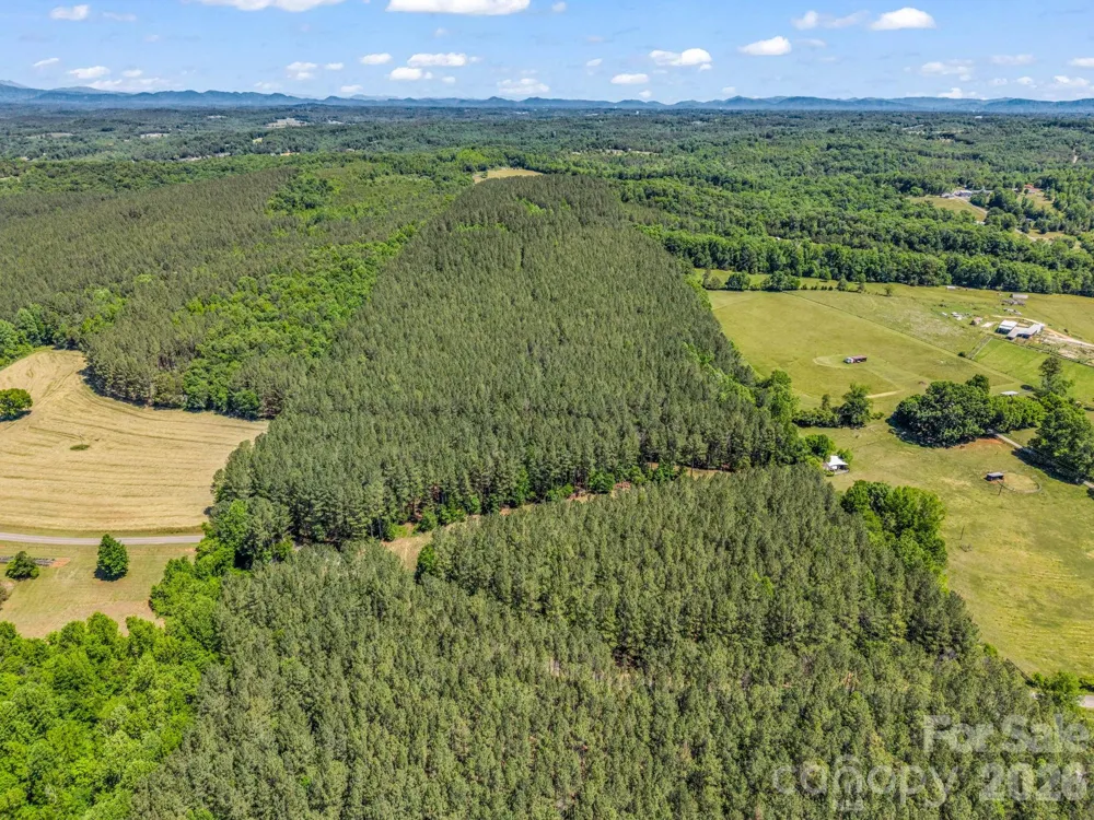 0 Jim Dobbins Road Rutherfordton, NC 28139