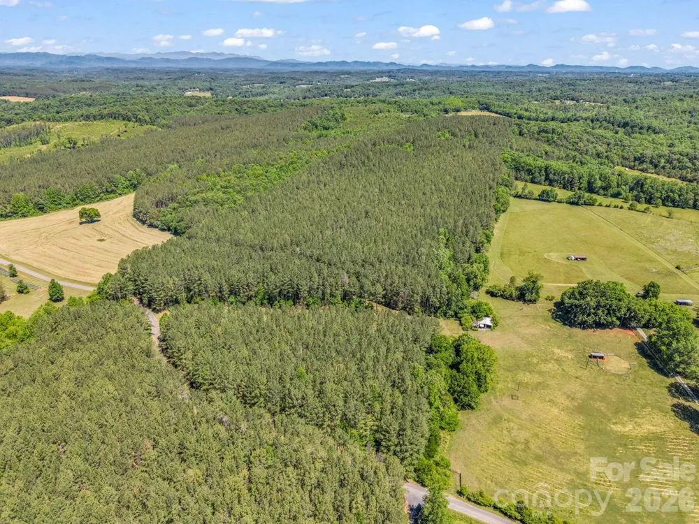 0 Jim Dobbins Road Rutherfordton, NC 28139