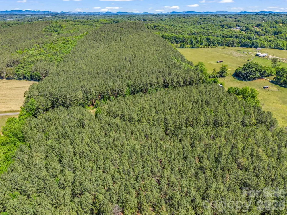 0 Jim Dobbins Road Rutherfordton, NC 28139