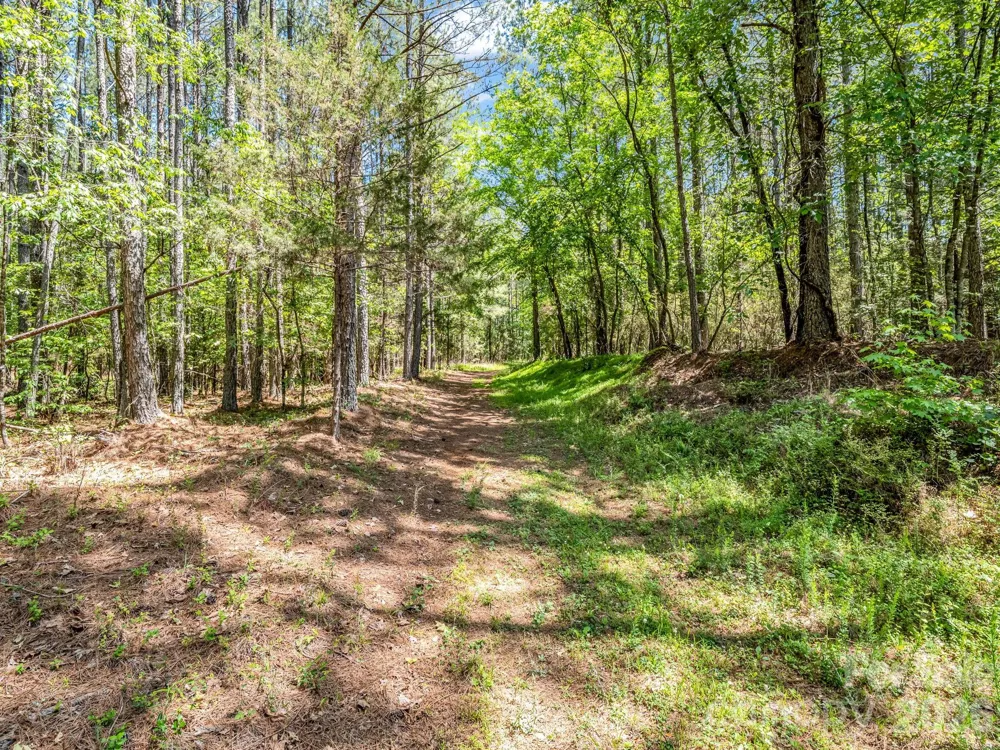 0 Jim Dobbins Road Rutherfordton, NC 28139